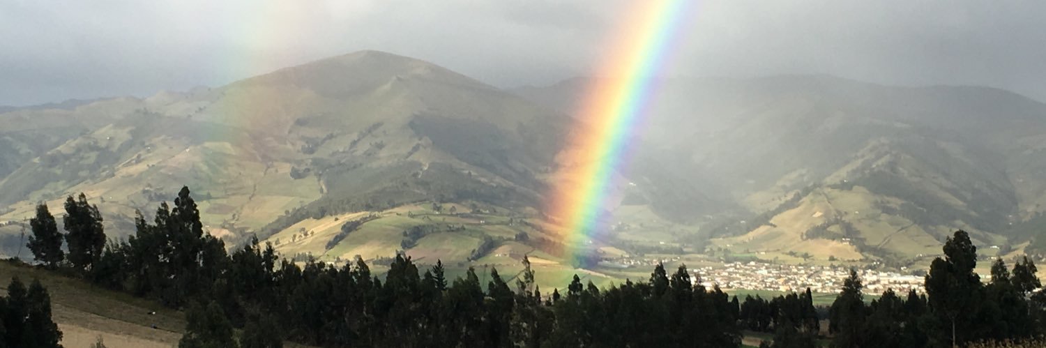 lorrainetaylor_'s profile banner image