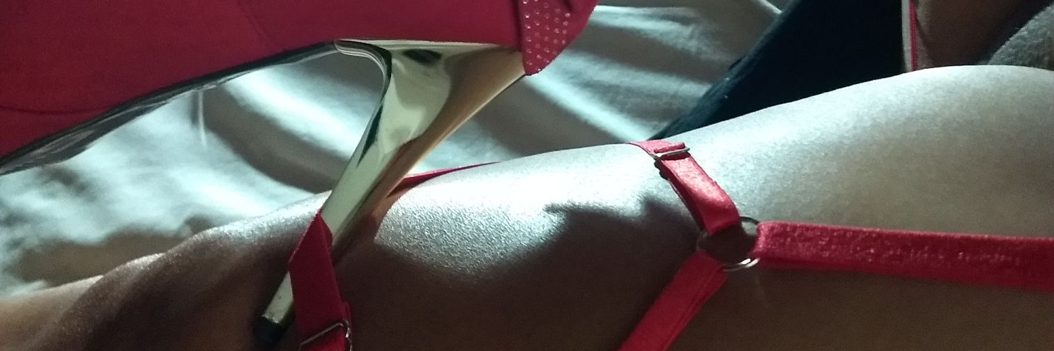 SheylaZn's profile banner image