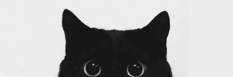 daiany_b's profile banner image