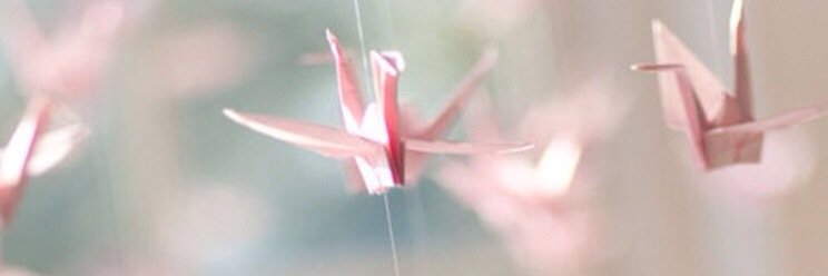 55Lollipop's profile banner image