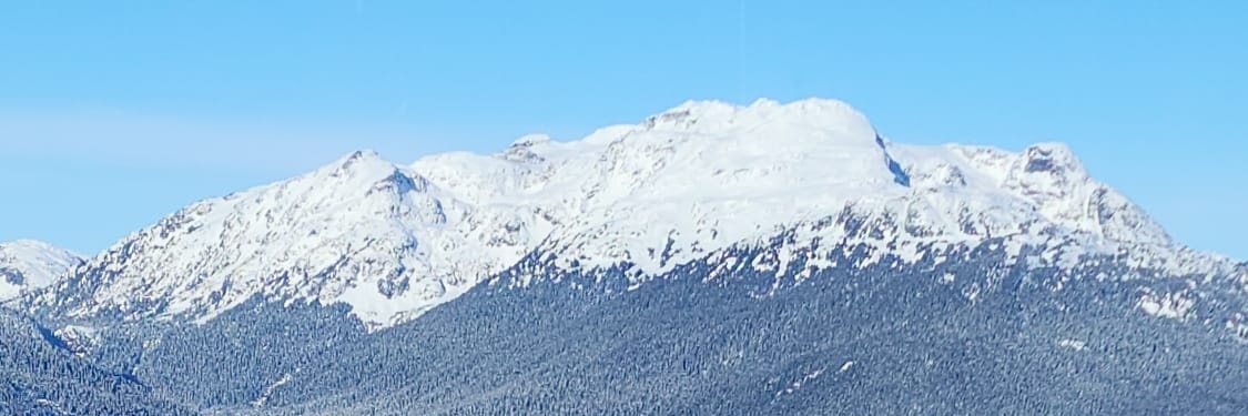 cup_master's profile banner image