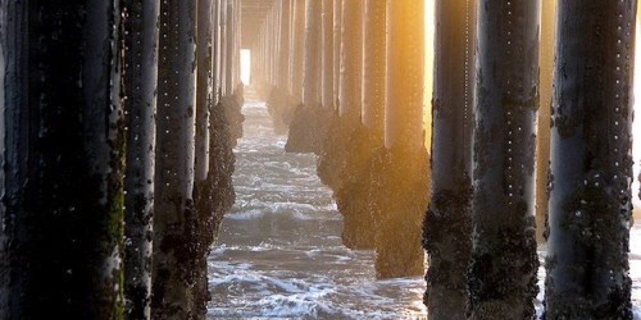 Abby Schneider banner