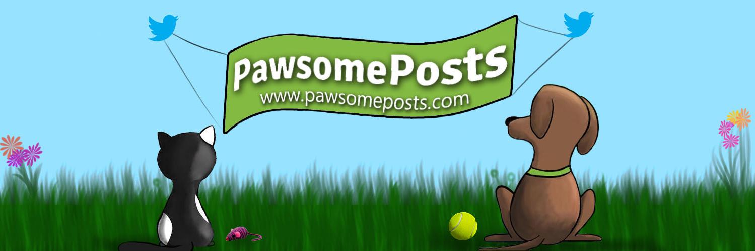 Pawsome Posts banner
