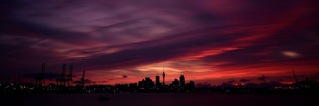 Goina Thedinga banner