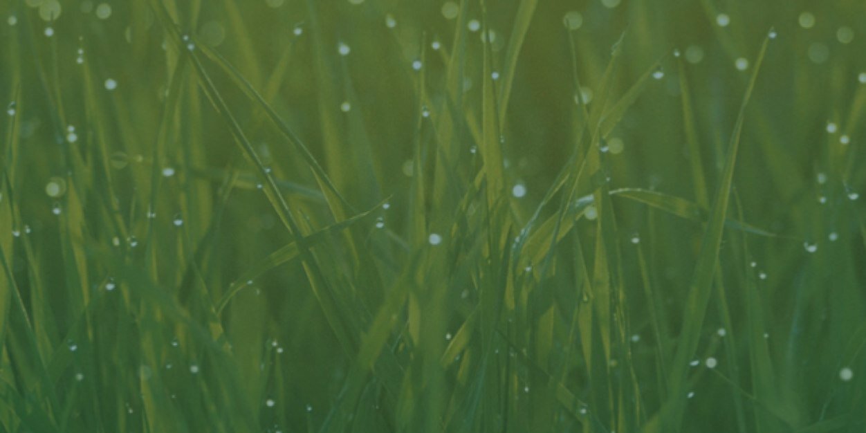 CrackinCrystal's profile banner image