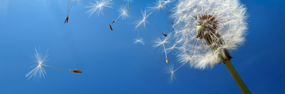 BlueOvaHealth's profile banner image