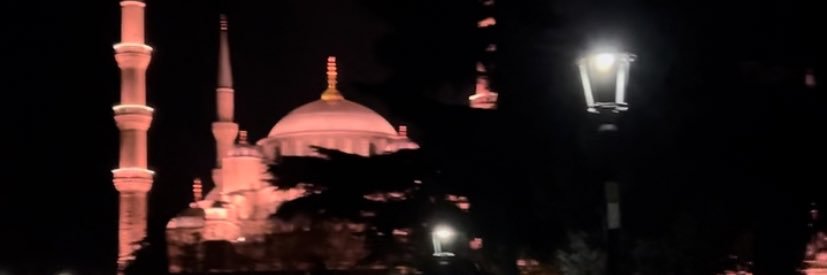 iamprollyali's profile banner image