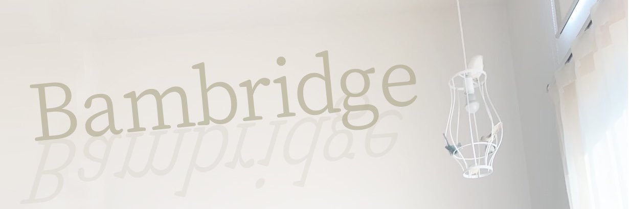 Bambridge_'s profile banner image