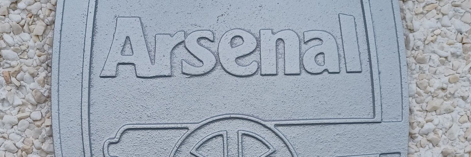 TheBayGooner's profile banner image