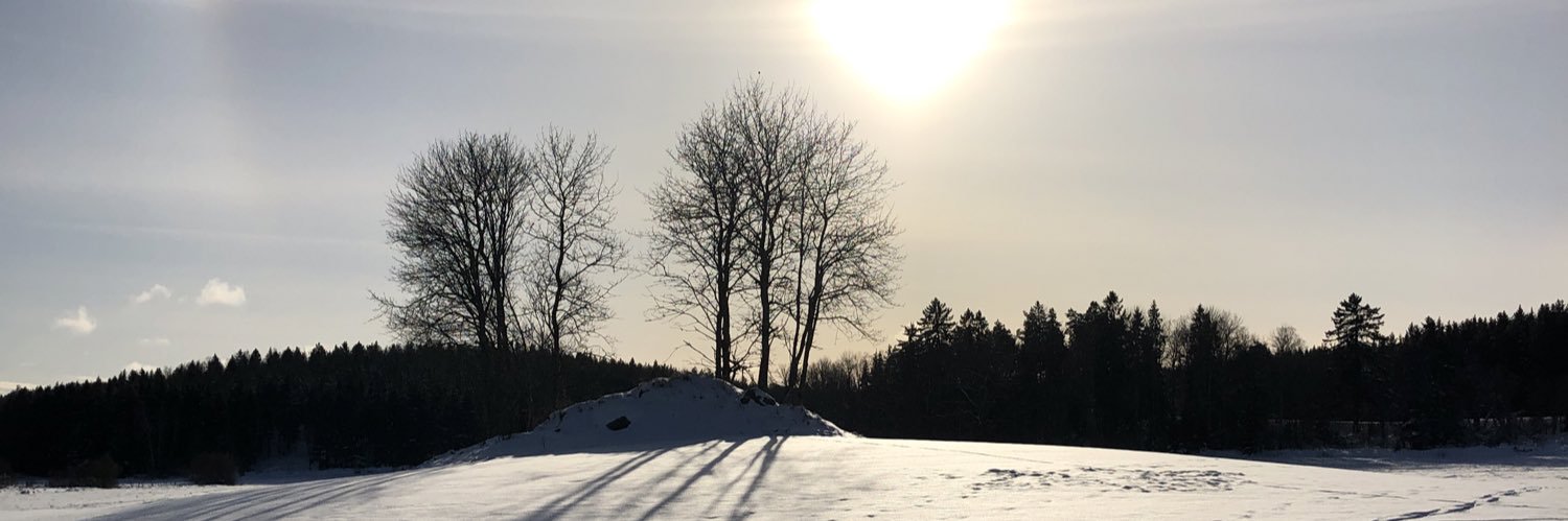 AnnaMalmberg's profile banner image