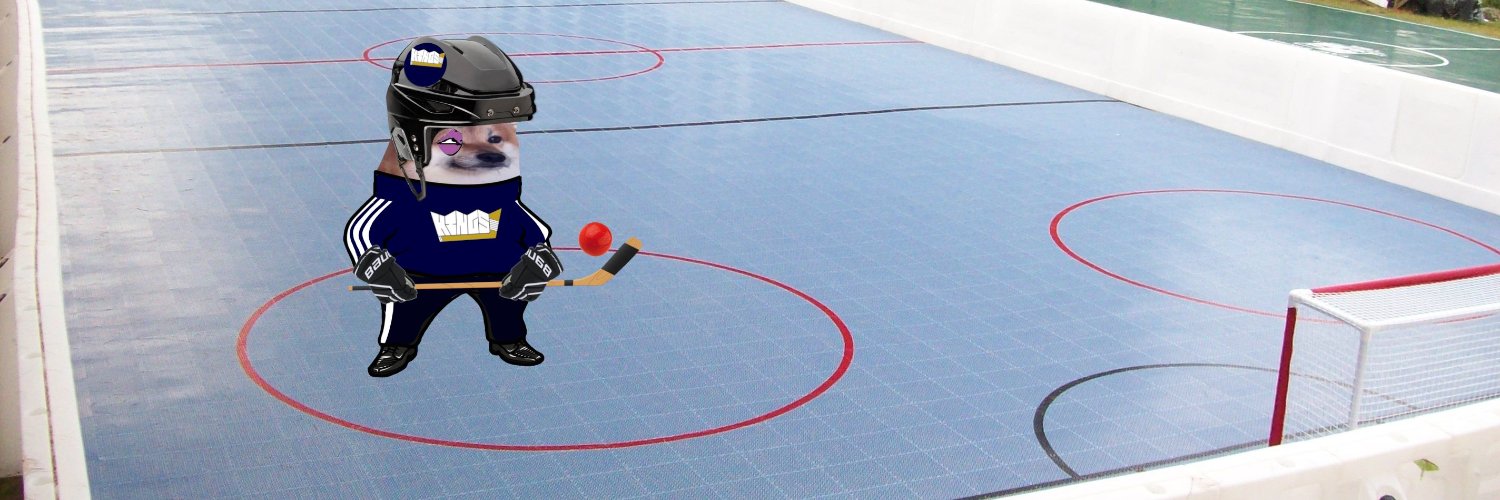 Kings Ball Hockey △ banner