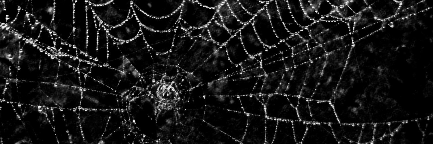 ella__rj's profile banner image