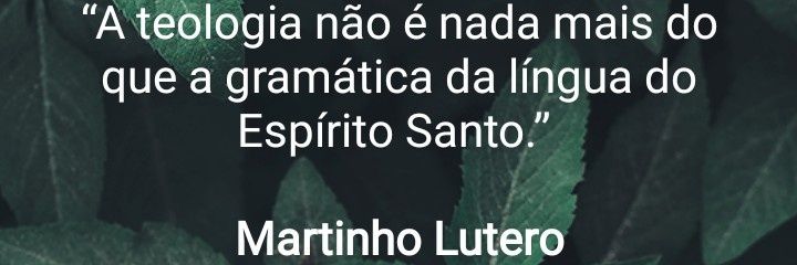 Thamara de souza banner
