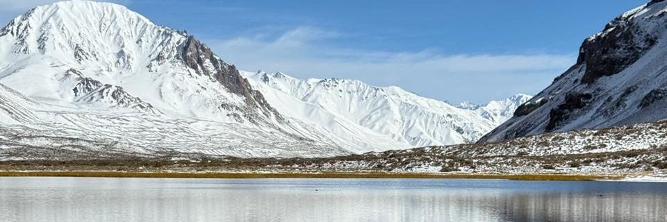 DmarisD's profile banner image