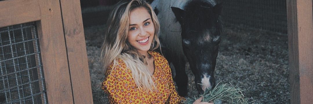 slayes_'s profile banner image