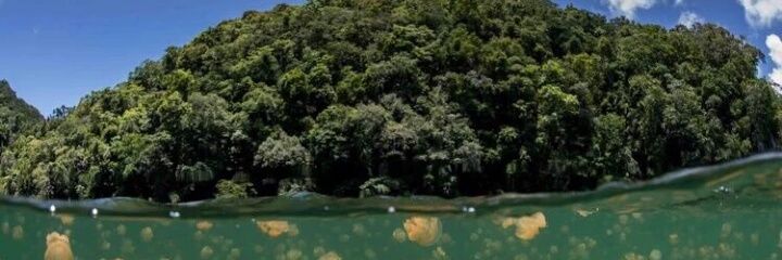 yeahitsrhea's profile banner image