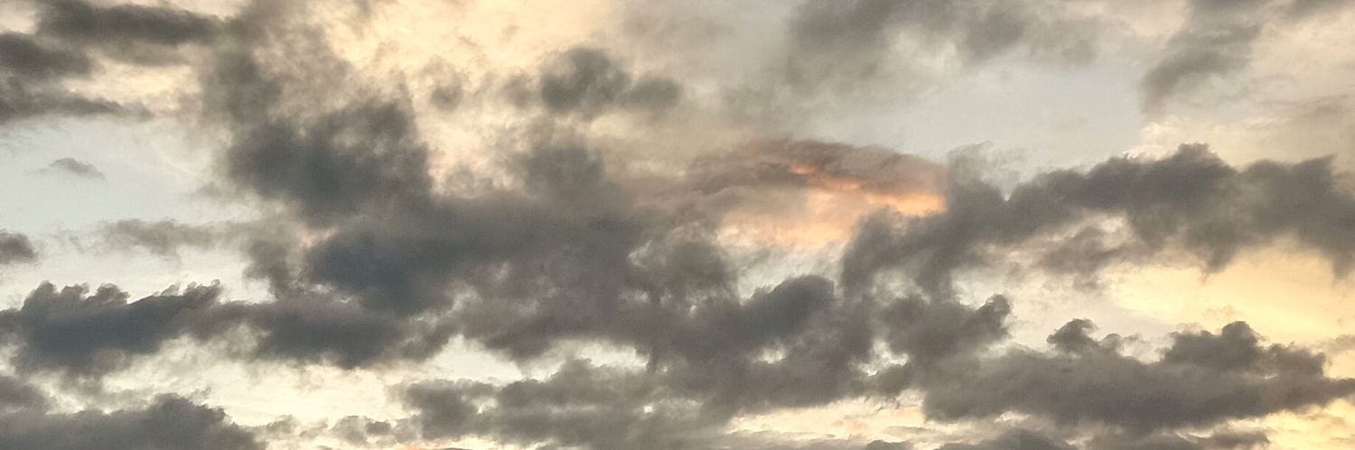ersave_'s profile banner image