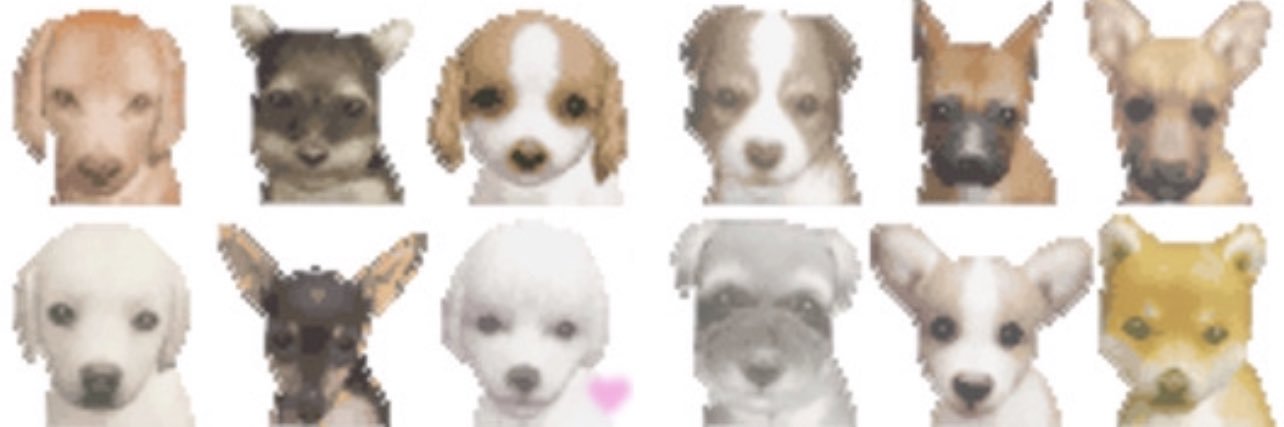 Devon Lee Carlson banner
