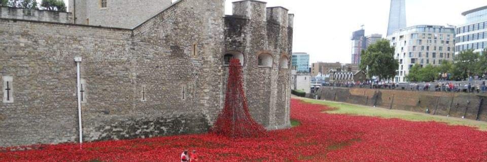Peter Johnstone banner
