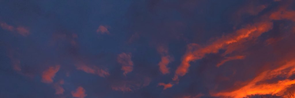 BucyJack's profile banner image