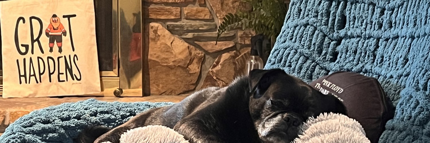 PhillyCheeseEagle 🧀🦅🏈 banner
