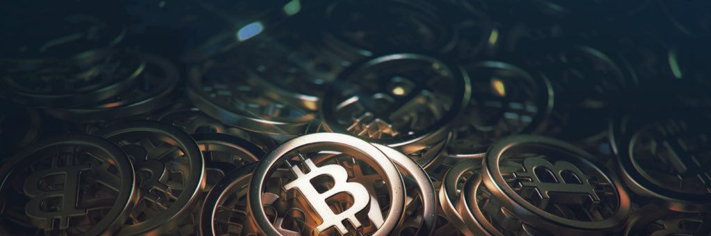 Crypto Notorious banner