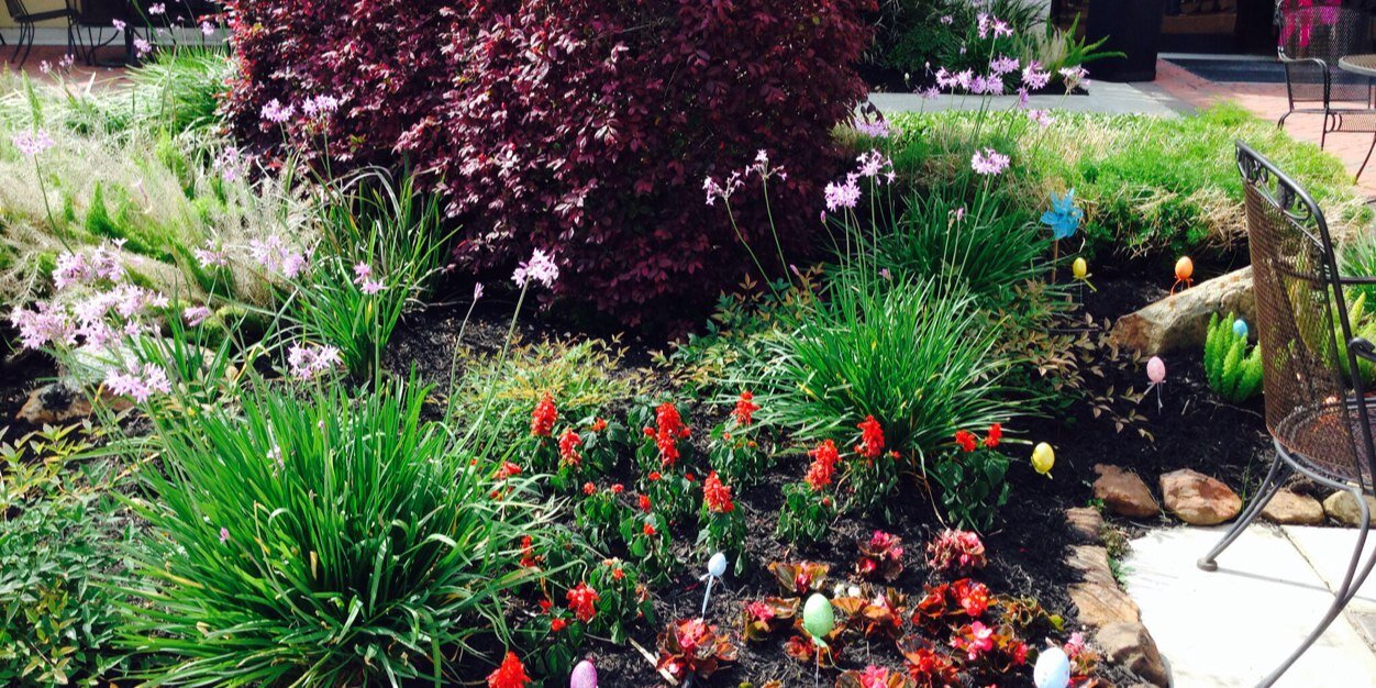 nasreenaahmed's profile banner image