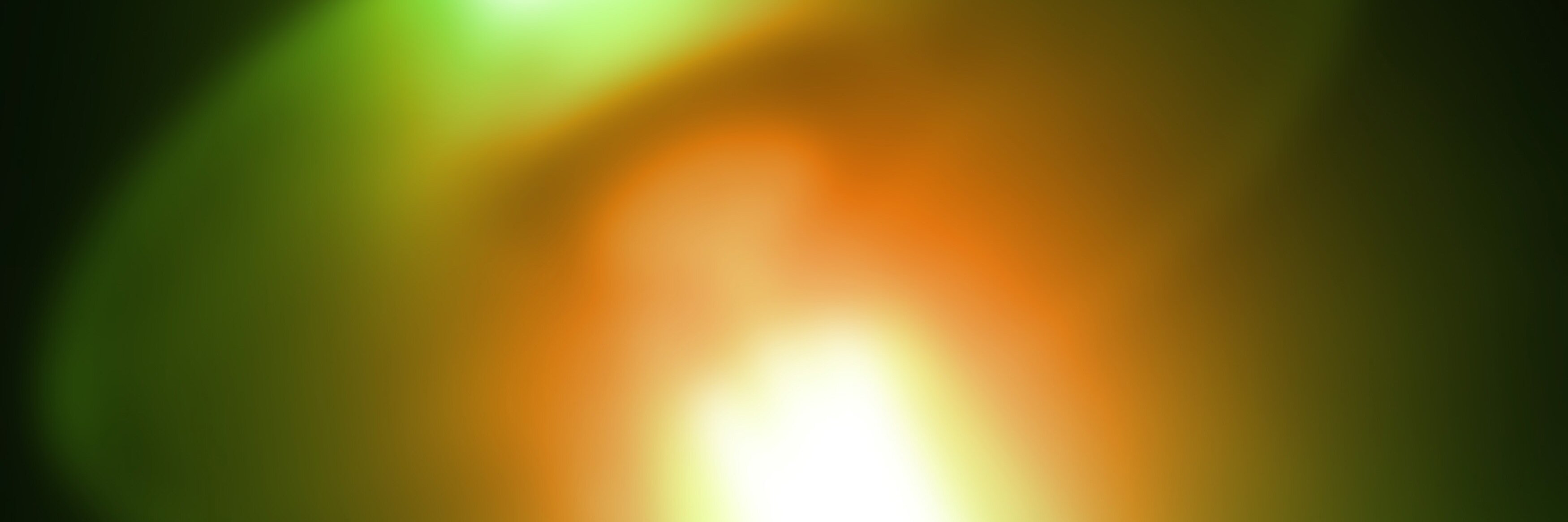 PrimordialProd's profile banner image