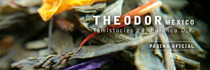 Theodor México banner