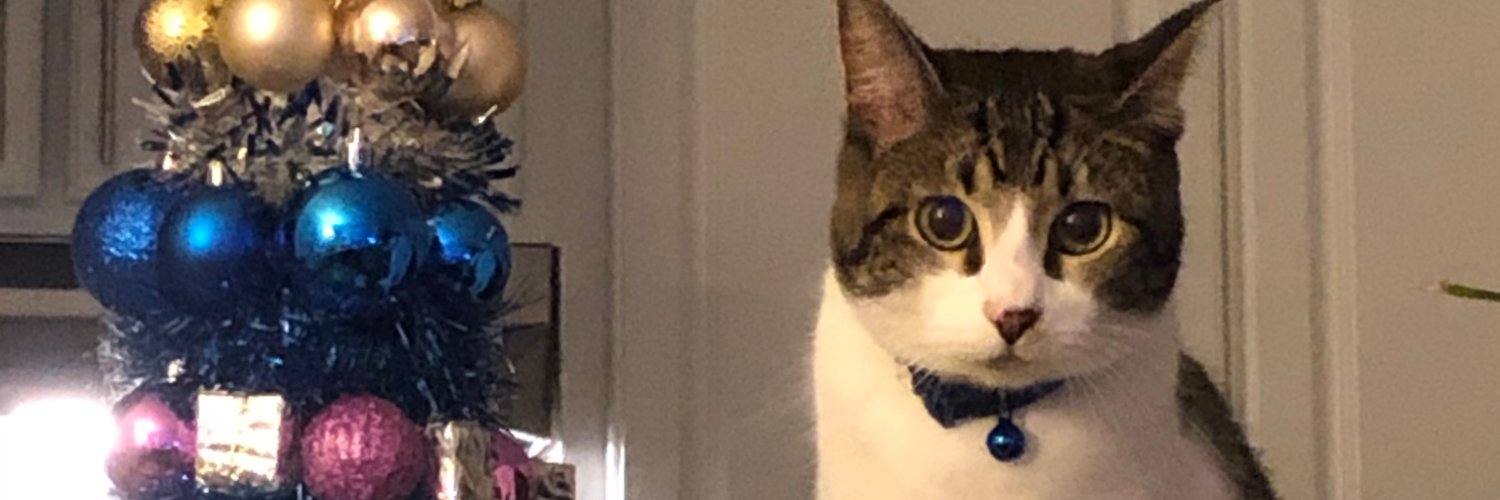 ladydkw's profile banner image
