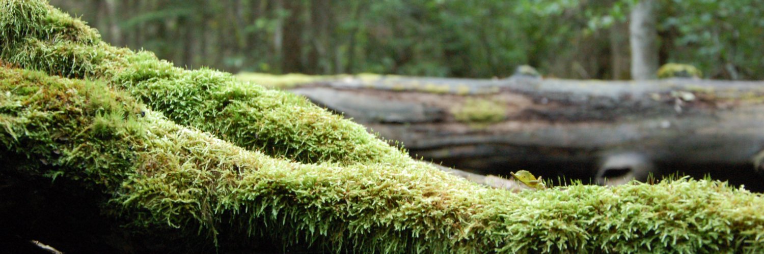 Håkan Fröling banner