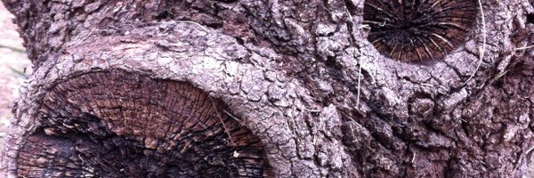 suba23 Profile Banner