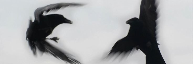 mehran772's profile banner image