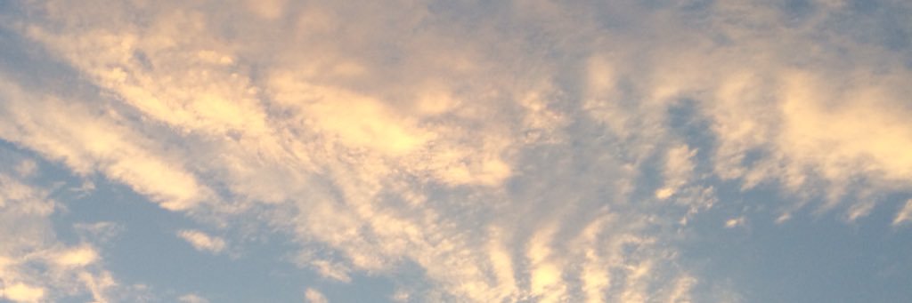 gay_void's profile banner image