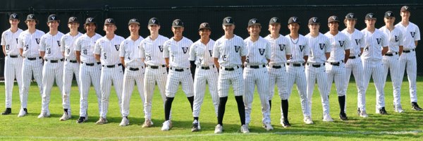 Vandegrift Viper Baseball Profile Banner