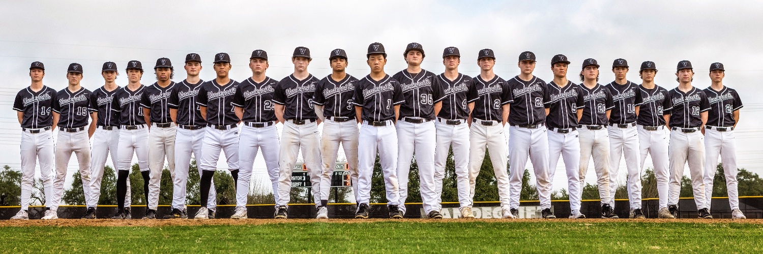 Vandegrift Viper Baseball banner