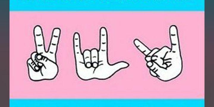 VidaRadLosa's profile banner image