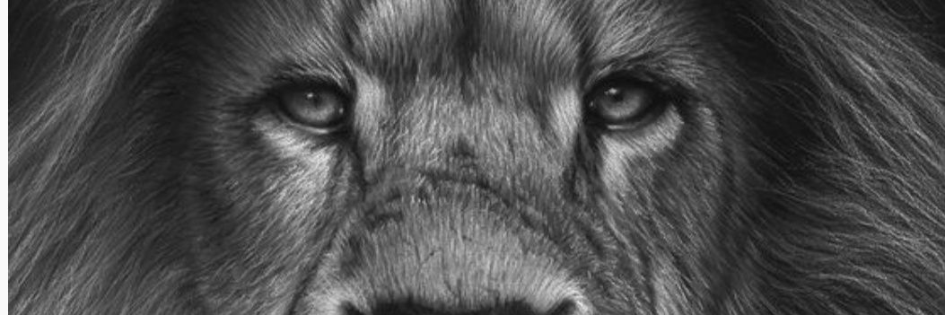 SinLegalE's profile banner image