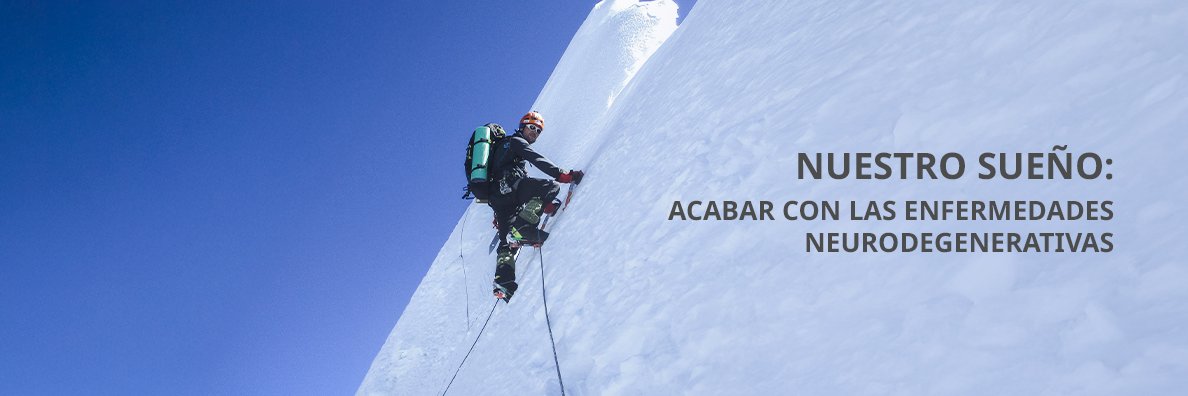 Fundación The Walk On Project | WOP banner