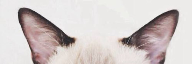 nicoleemonxo's profile banner image