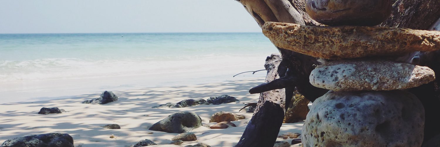 KittyMeoww's profile banner image