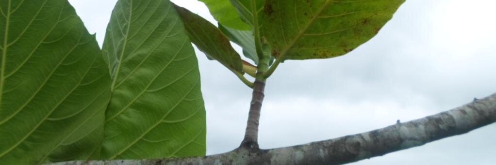k_erasito's profile banner image