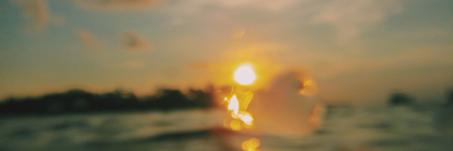_yellowrosee's profile banner image