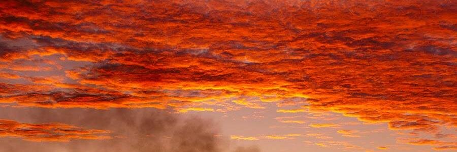 Nicholas Hodge banner