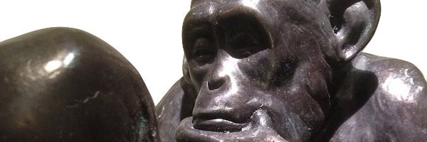 DarwinMonkey Profile Banner