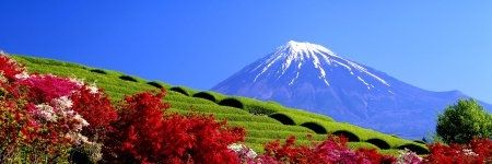 harshpuri29's profile banner image