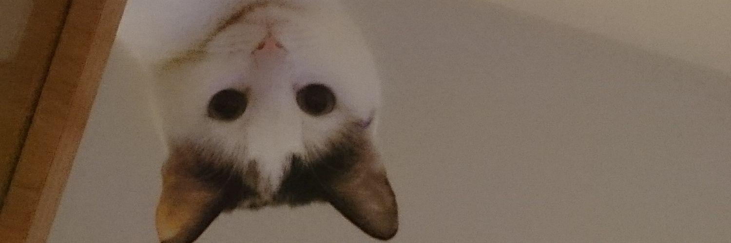 Fitzearl's profile banner image