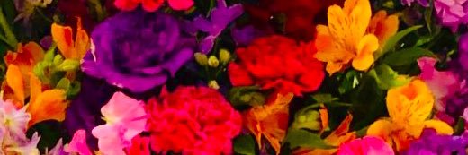 MikiPurupanda's profile banner image