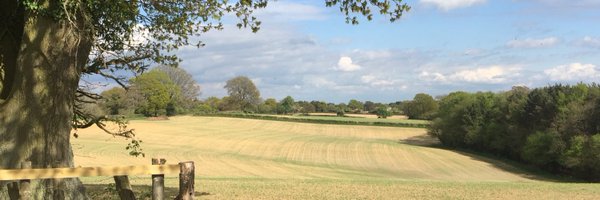 Cornhandle Profile Banner