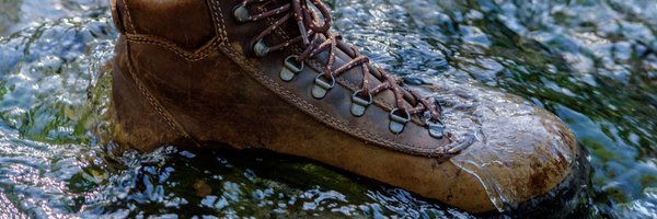 RedbackBoots Profile Banner